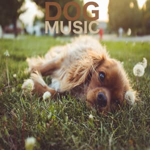 Dog Music - Dog Music