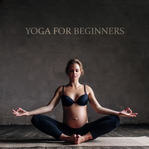Yoga for Beginners - A Pregnant-Friendly Practice - Namaste Healing Yoga