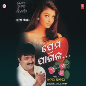 Prem Pagal - Anil Bawra