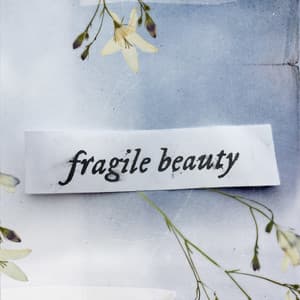 Fragile Beauty - Chris Doney