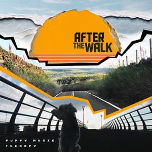 After the Walk - Puppy Music Therapy