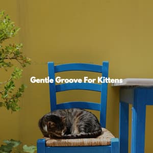 Gentle Groove For Kittens - Musique de Restaurant Chic