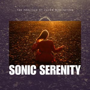 The Practice of Zazen Meditation - Sonic Serenity