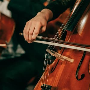 Relaxing with the Orchestra: Gentle Night Sounds - Valborg Shamsuddin