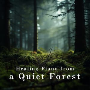 Healing Piano from a Quiet Forest - LOVE BOSSA