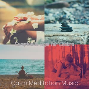 Sumptuous Bgm for Chakra - Calm Meditation Music
