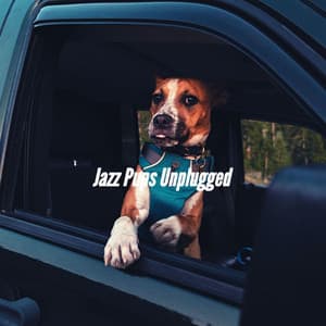 Jazz Pups Unplugged - Sleepy Dogs