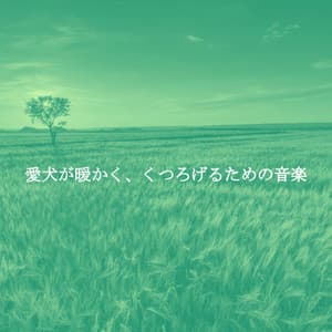 愛犬が暖かく、くつろげるための音楽 - Sunday Chillout Songs