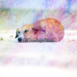 41 Goodbye Stress - Help Me Sleep