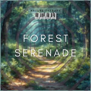 Forest Serenade - Nature Therapy