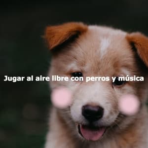 Jugar al aire libre con perros y música - Music for Cooking Playlist