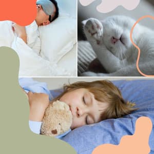 Echoes of Sleeping In - Massage Tribe