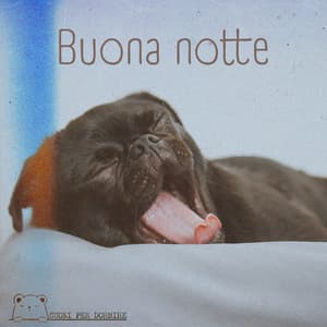 Buona notte - Suoni per Dormire