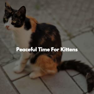 Peaceful Time For Kittens - Unwind Jazz Relax