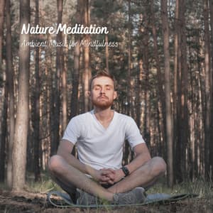 Nature Meditation: Ambient Music for Mindfulness - Weather and Nature Recordings