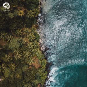 Nature's Symphony Meets Piano - Mystic Nature