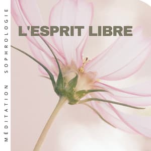 L'esprit libre - Sophrologie intense, Calme sons de la nature - Méditation Sophrologie