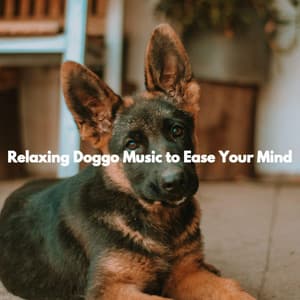 Relaxing Doggo Music to Ease Your Mind - Happy Music for Dogs