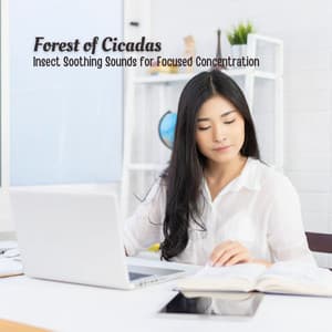 Forest of Cicadas: Insect Soothing Sounds for Focused Concentration - Nature Field Recorders