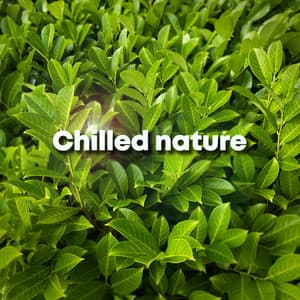 Chilled Nature - Sleep Music