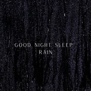 Good Night Sleep: Rain - WP Sounds