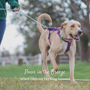 Paws in the Breeze: Wind Chimes for Dog Lovers - ASMR LIFE