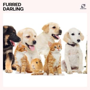 Furred Darling: Pet Relaxation Songs - Pet Care Music Therapy