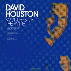 Wonders Of The Wine - David Houston