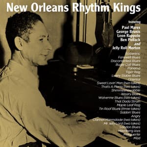New Orleans Rhythm Kings - New Orleans Rhythm Kings