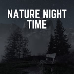 Nature Night Time - Organic Nature Sounds