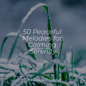 50 Peaceful Melodies for Calming Serenity - Japanese Relaxation and Meditation