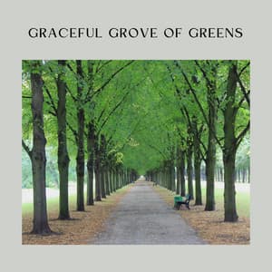 Graceful Grove of Greens - Sounds of the Forest