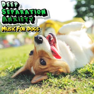 Deep Separation Anxiety Relief Music For Dogs - Deep Separation Anxiety Music For Dogs