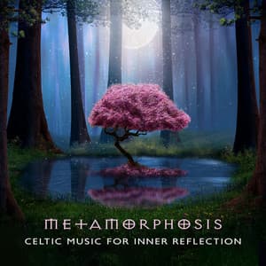 Metamorphosis: Beautiful Celtic Healing Music for Transformation, Inner Reflection, Soothing Relaxation for Mind and Body - Celtic Nation