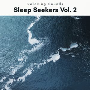 A Sleep Seekers Vol. 2 - Waves of Relax