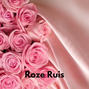 Roze Ruis - Witte Ruis om te Slaapen
