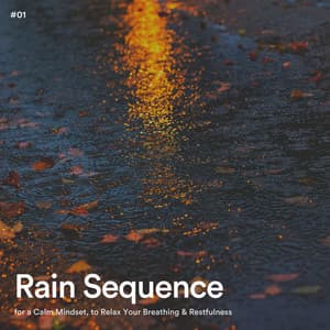 #01 Rain Sequence for a Calm Mindset, to Relax Your Breathing & Restfulness - Rain Radiance