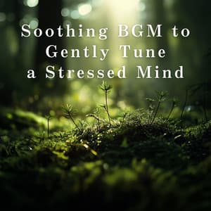 Soothing BGM to Gently Tune a Stressed Mind - Relax α Wave