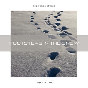 Footsteps in the Snow - Asmr