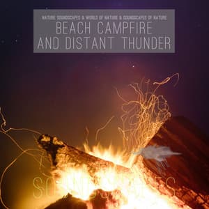 Beach Campfire and Distant Thunder - Nature Soundscapes