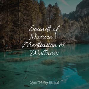 Sounds of Nature | Meditation & Wellness - Ambient Nature White Noise