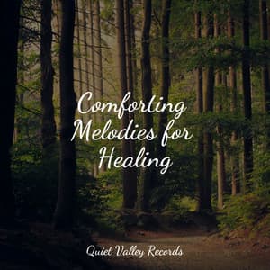 Comforting Melodies for Healing - Ambient Arena