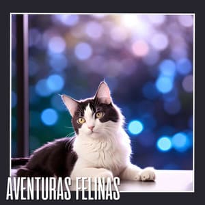 Aventuras Felinas: Melodías Encantadoras para Gatos y Mascotas Juguetonas - Gatos Especialistas