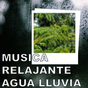 Musica Relajante Agua Lluvia - Musica Relajante Agua Lluvia