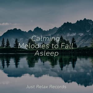 Calming Melodies to Fall Asleep - Nature Sound Collection