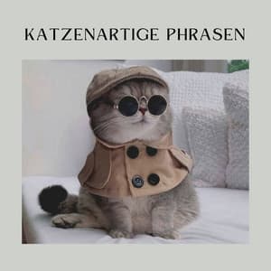 Katzenartige Phrasen - Katzenmusik