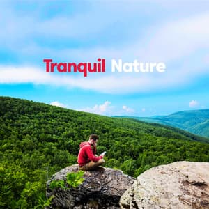 Tranquil Nature: Improve Memory, Deep Concentration and Focus - Improve Concentration Academy