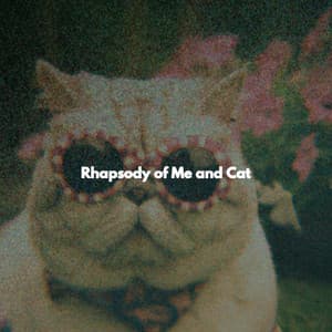 Rhapsody of Me and Cat - Vintage Cafe Vintage