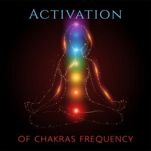 Activation of Chakras Frequency in Our Body: Soft Meditation Music - Healing Frequency Music Zone