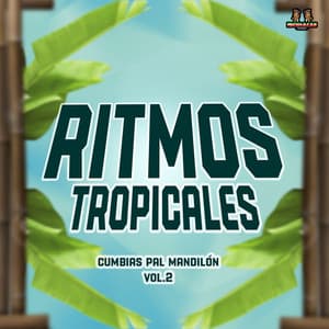 Cumbias Pal Mandilon Vol. 2 - Ritmos Tropicales